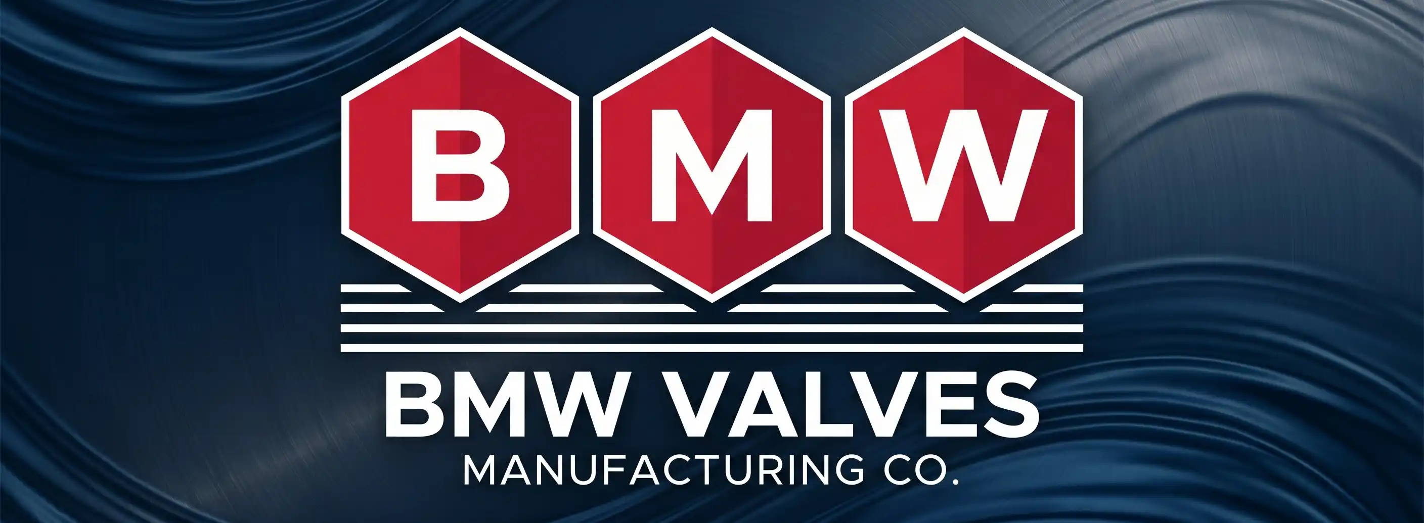 BMW Valves